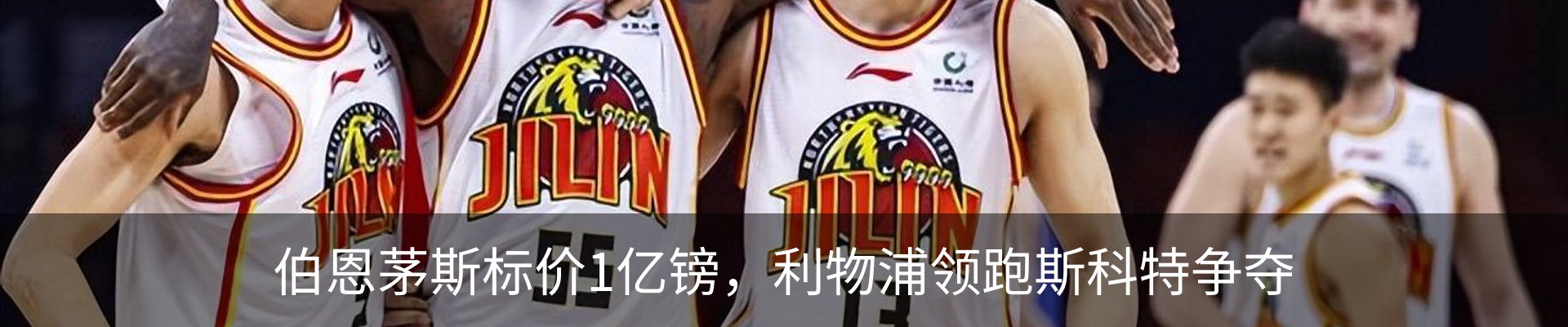 最新动态